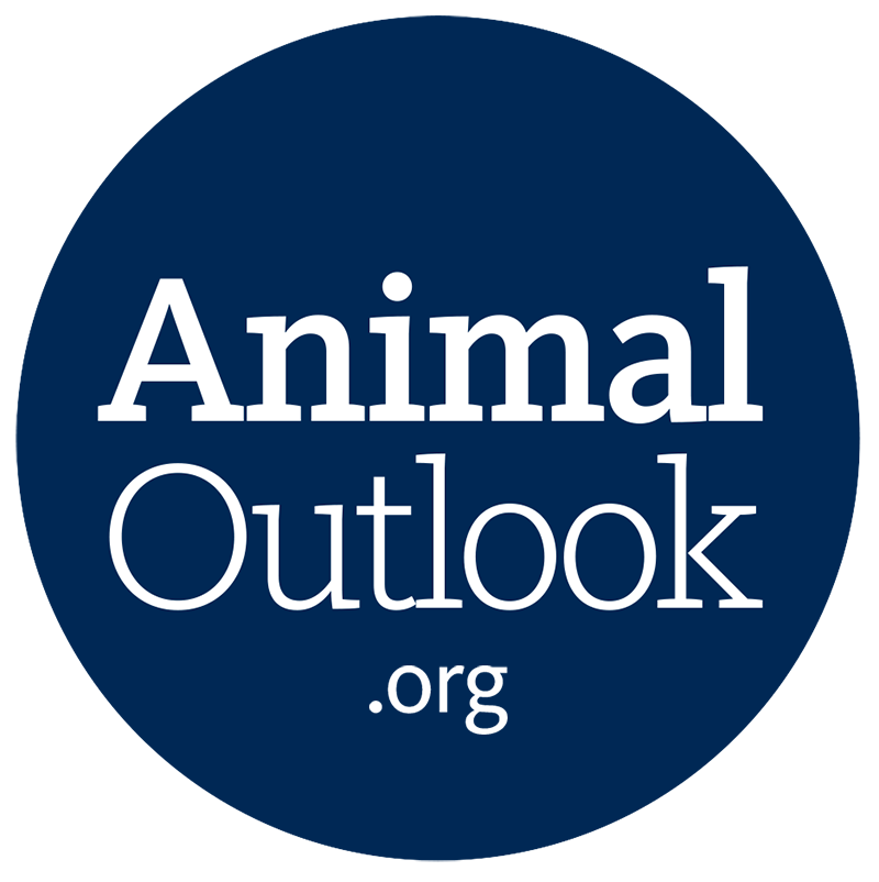 Animal Outlook