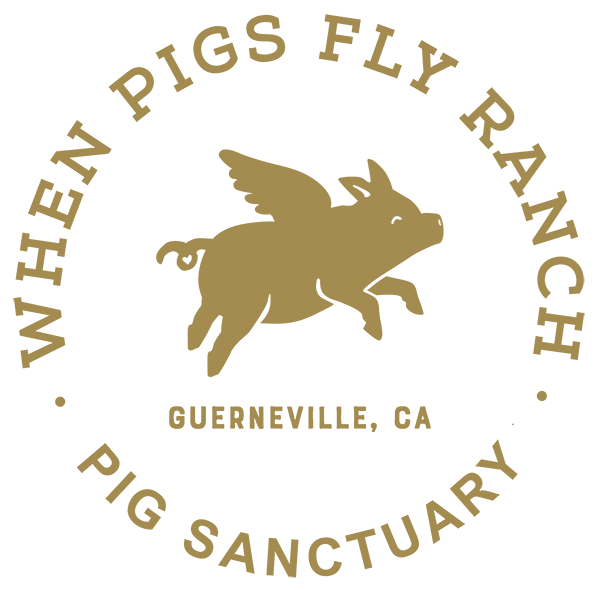 When Pigs Fly Ranch in Guerneville, CA