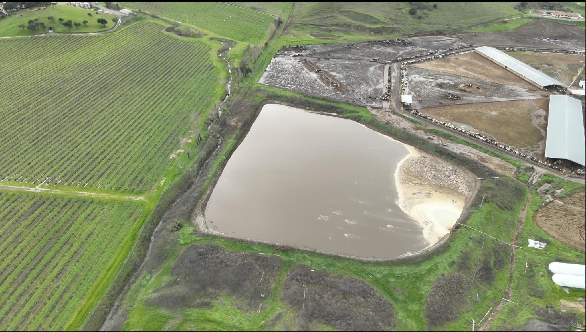 Manure lagoon the size of two football fields at Mertens Dairy in Sonoma