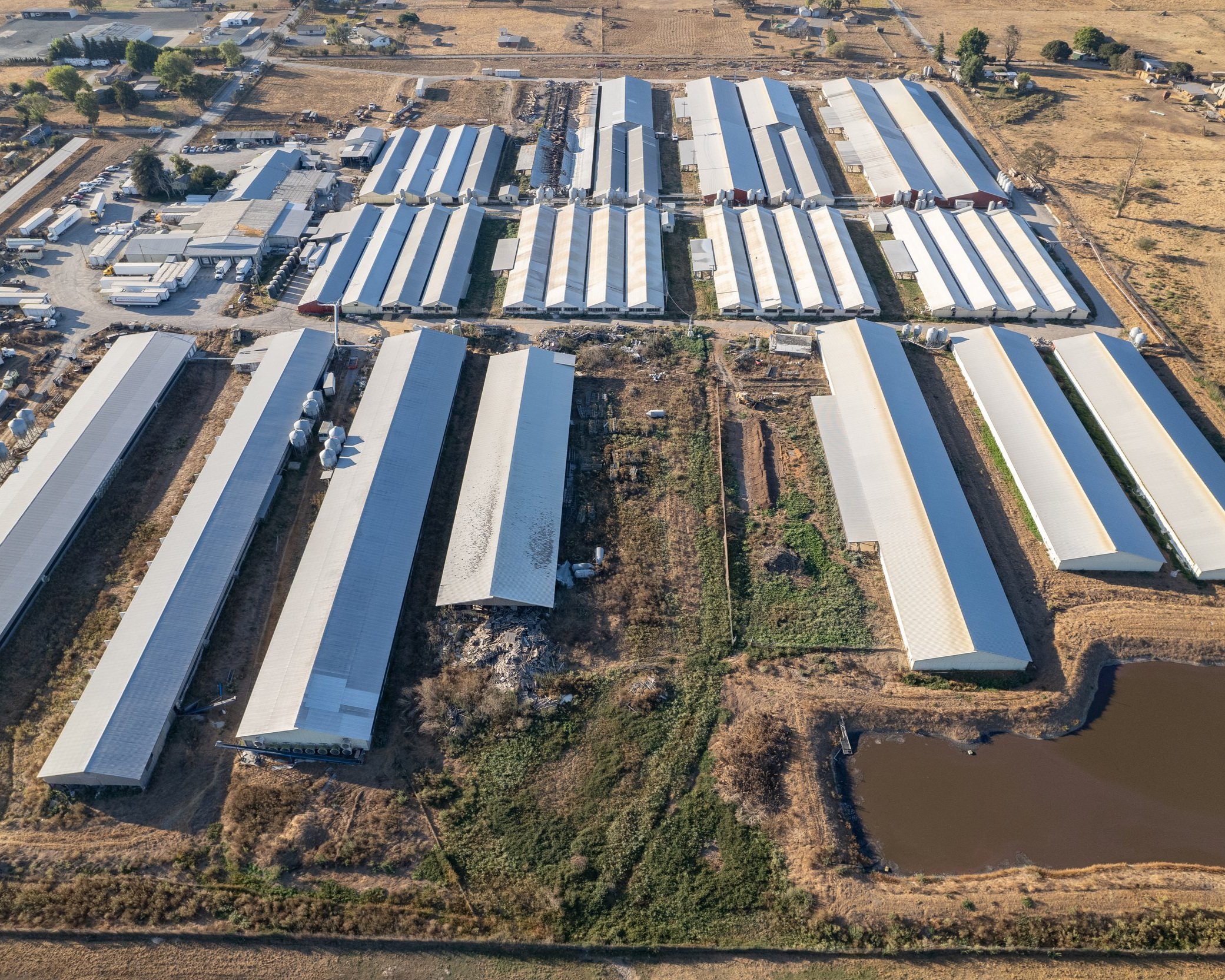 Petaluma Egg Farm CAFO, Petaluma