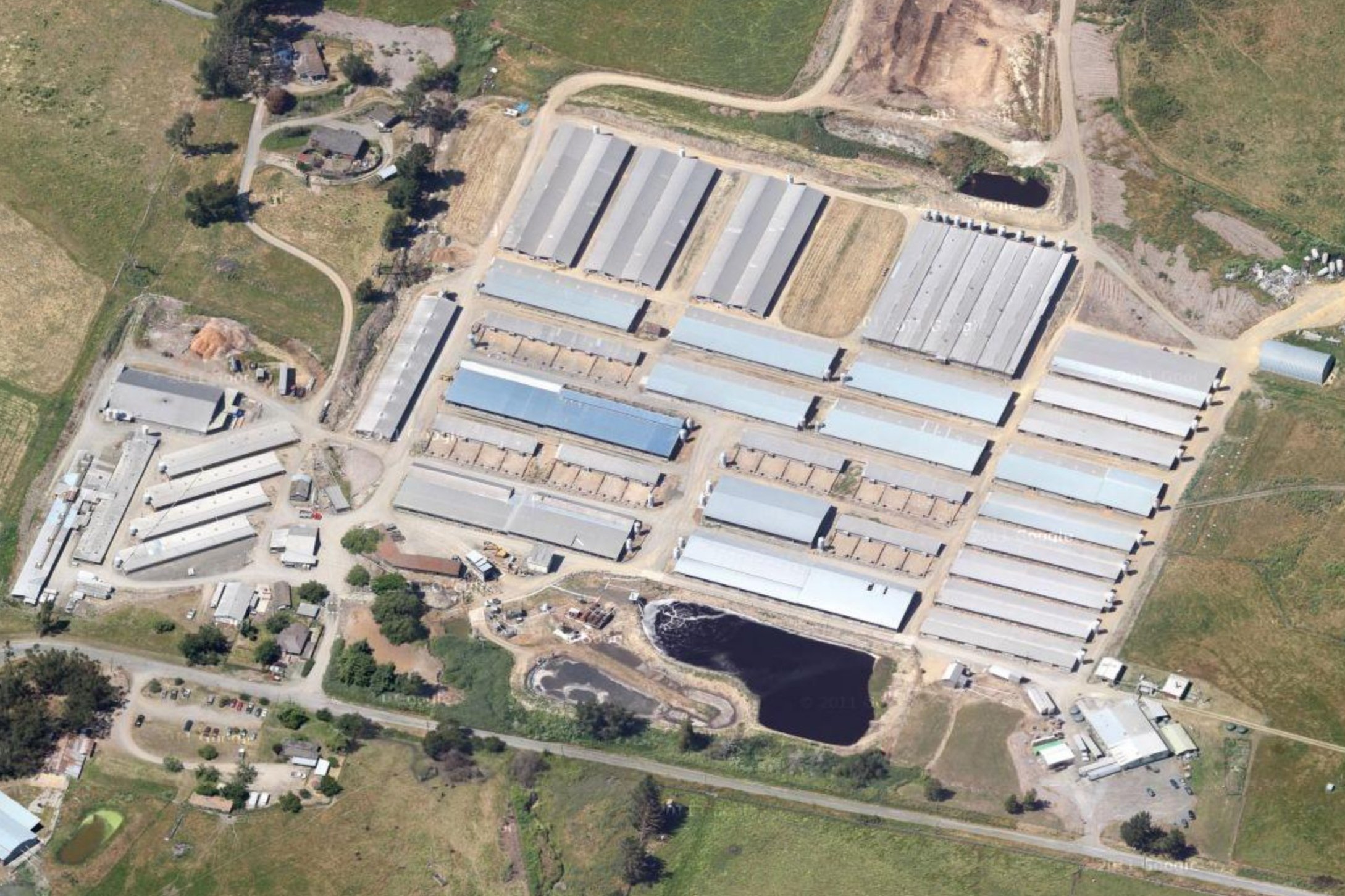 Reichardt Duck CAFO, Petaluma