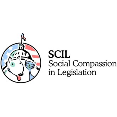 Social Compassion in Legislation